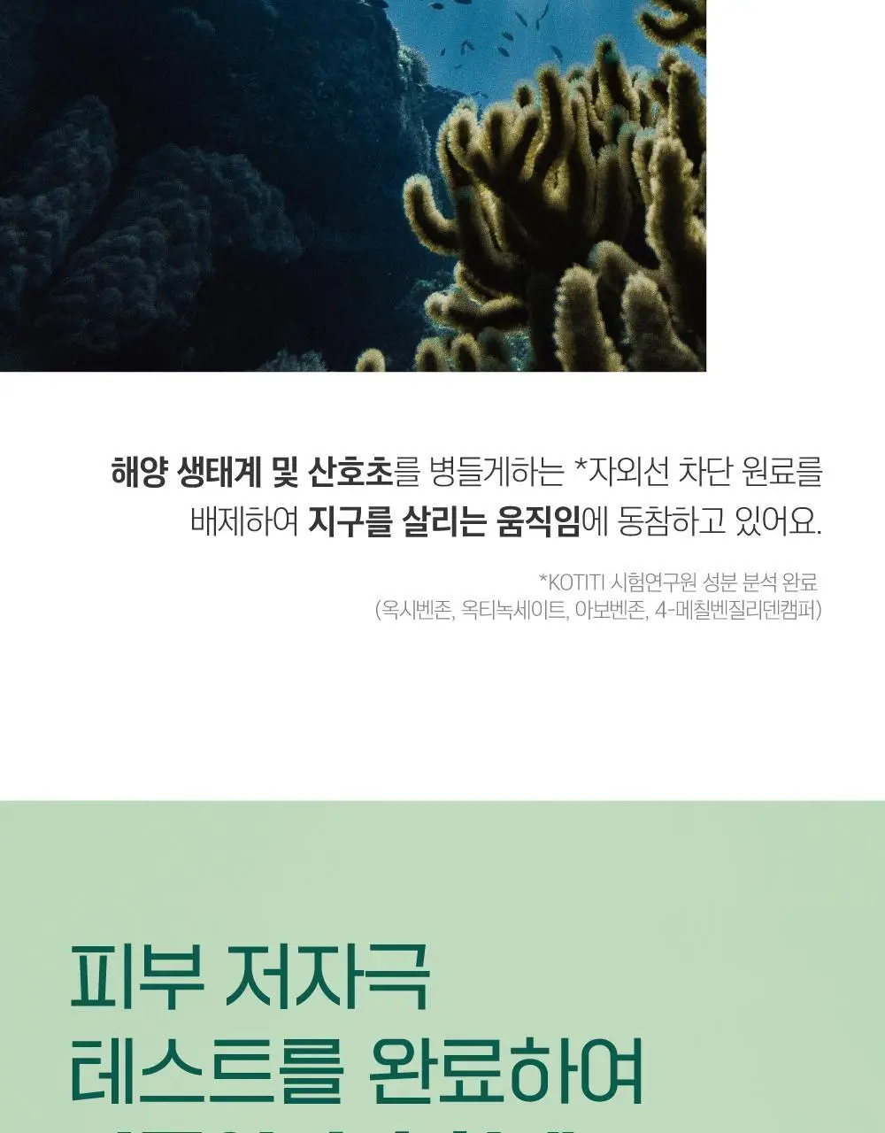 [NEW/한겹밀착] 라운드랩 소나무 진정 시카 선크림 40ml 상세페이지 15